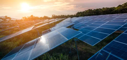 Solarbeschäftigung sinkt im zweiten Jahr unter Trumpf – @shutterstock | Love Silhouette