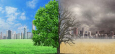 Climate protection: theory and practice - Image: @shutterstock|studiovin