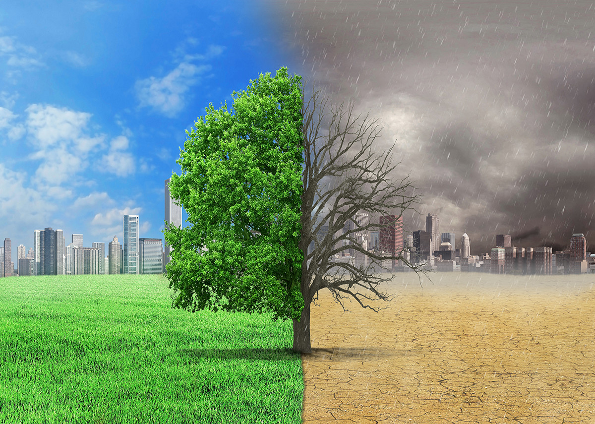 Klimaschutz: Theorie und Praxis - Bild: @shutterstock|studiovin