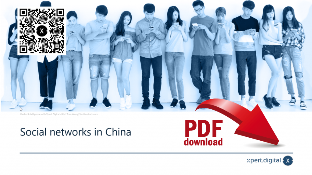 Social networks in China - PDF Download