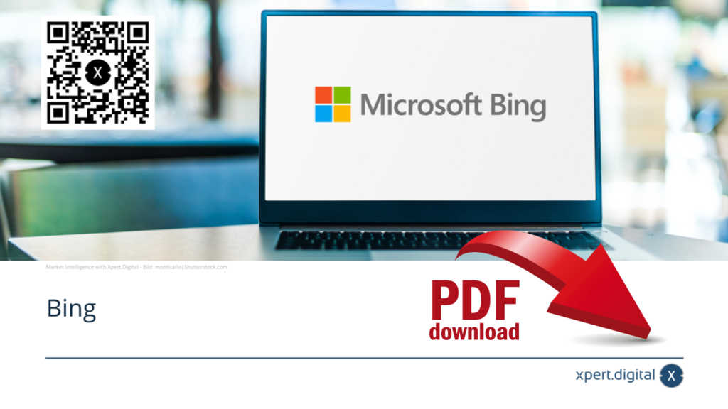 Microsoft Bing - PDF ke stažení