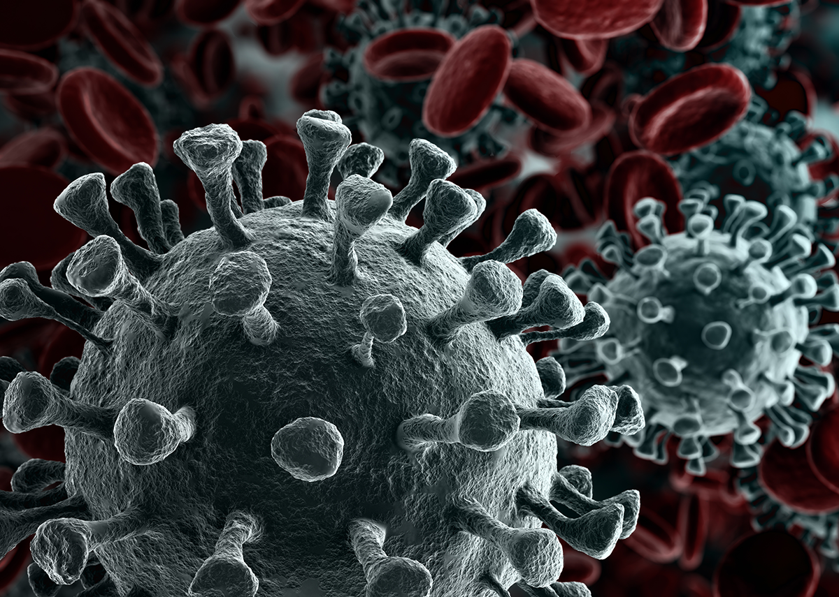 Covid-19 – Dane dotyczące pandemii korony – Zdjęcie: Creativeneko|Shutterstock.com
