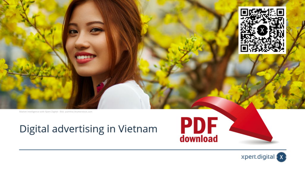 Digital advertising in Vietnam - PDF Download