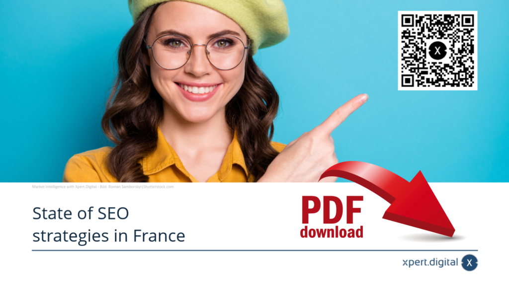 Stan strategii SEO we Francji - pobierz plik PDF