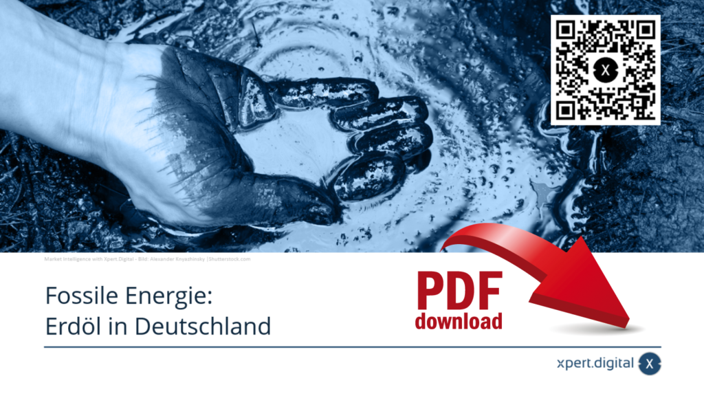 Energia kopalna: ropa naftowa w Niemczech – pobierz plik PDF
