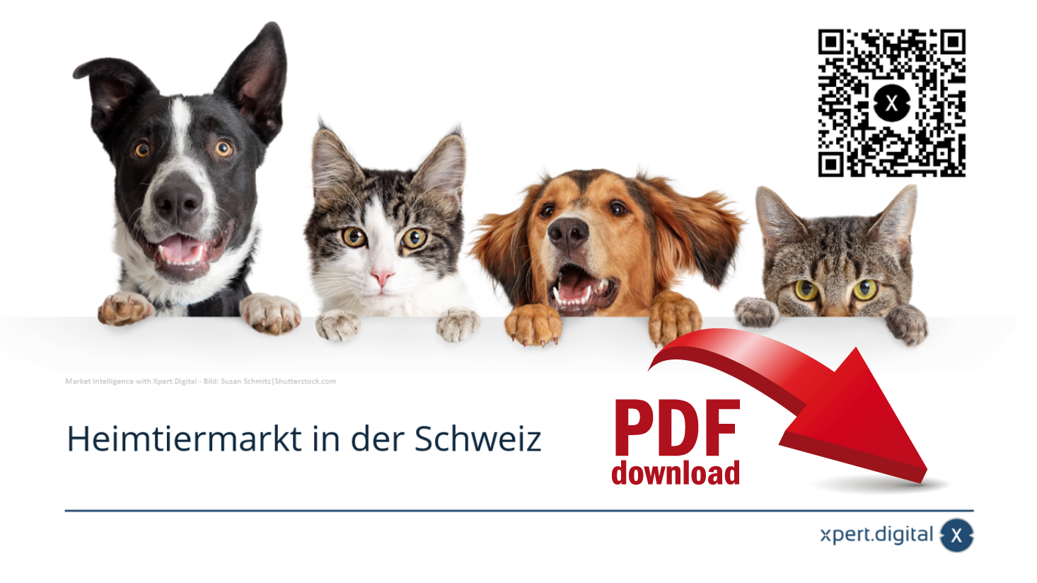 Geschützt: Heimtiermarkt in der Schweiz