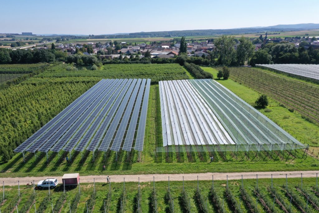 「Agri-PV Fruit Growing」プロジェクトでは、さまざまな太陽電池モジュール技術（左）と従来の作物保護システム（右）がテストされています。