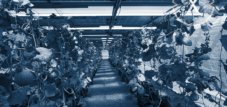 Agrofotovoltaica para la agricultura y la transición energética