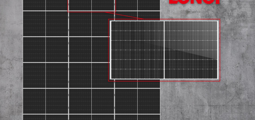 Speziell für Europa: LONGi bringt neue Solarmodul-Version mit 66 Zellen auf den Markt - Bild: LONGi