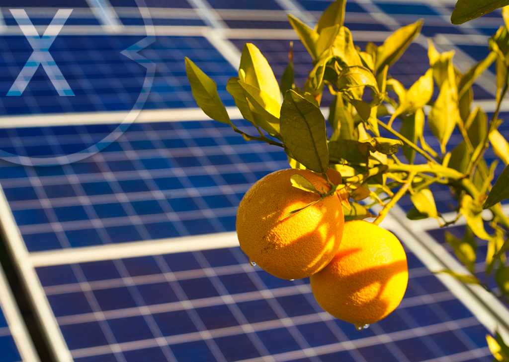 Agri-photovoltaics (Agri-PV or AgriPV)