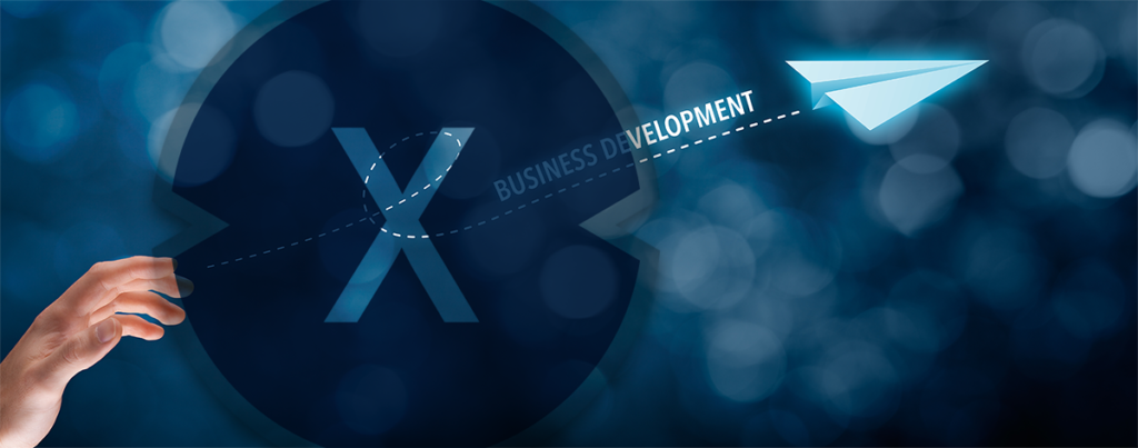 Pioneer Business Development Skills: Beratung für Einsatzmöglichkeiten unseres Pioneer Business Development für Ihre Bereiche