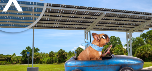 Solarcarport vs. Solarparkplatz