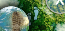 The ecological footprint of humanity