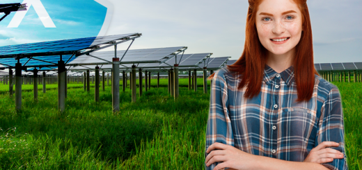 Looking for agri-photovoltaics (agri-PV) construction and solar company in Saarland?