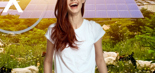 ¿Busca una empresa de construcción solar y agro-fotovoltaica en Berlín? Agrofotovoltaica o agrosolar en la agricultura 