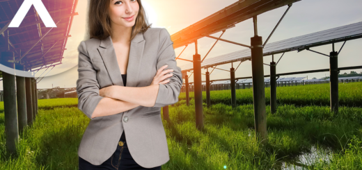 Hledáte solární a stavební společnost pro agrofotovoltaiku (agro-PV) v Hamburku? Hledáte solární farmu? 