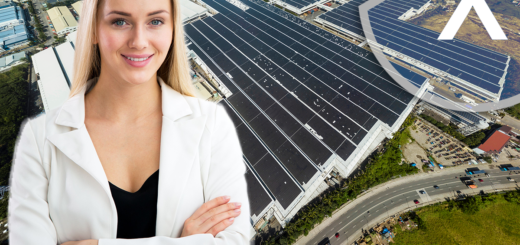 ザクセン州でソーラーホールの建設を募集: 太陽光発電サポートを備えた平屋根ソーラー構造