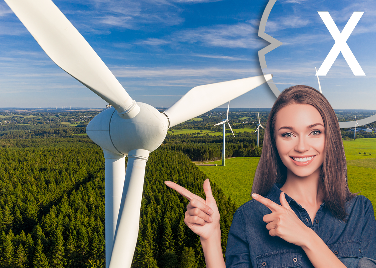 Windkraft: Windenergie, die führende Kraft im deutschen Stromnetz