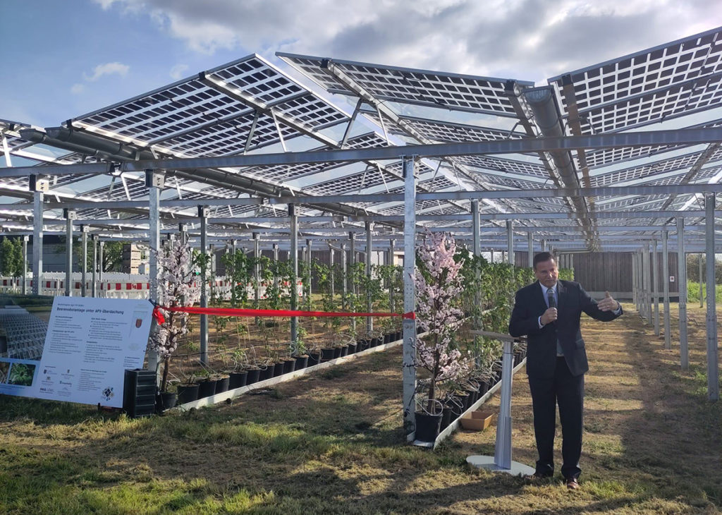 Inovativní Agri-PV systém pro udržitelné pěstování bobulí v Heuchlingenu - ministr Peter Hauk