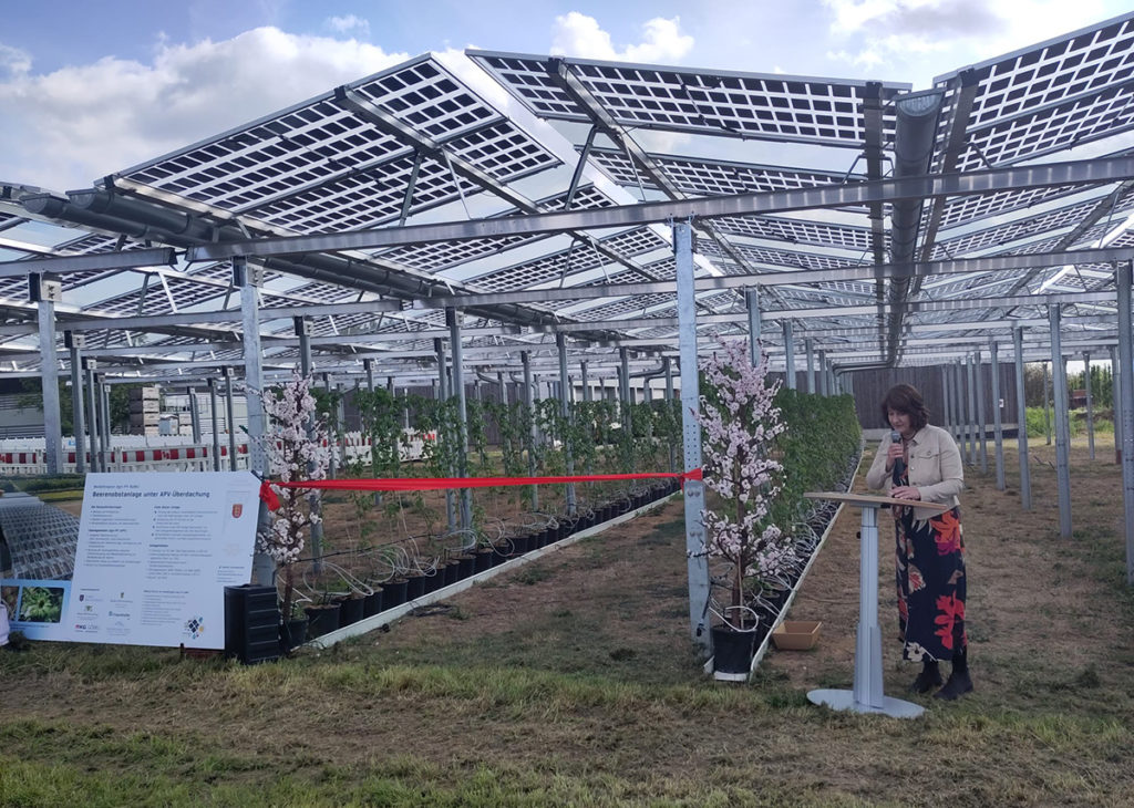 Agri-photovoltaïque : Agriculture et production d&#39;énergie en harmonie - Secrétaire d&#39;État Gisela Splett