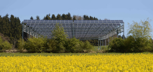 ハイルブロン: 農業用太陽光発電 (AgriPV) によるブドウ栽培と果物栽培