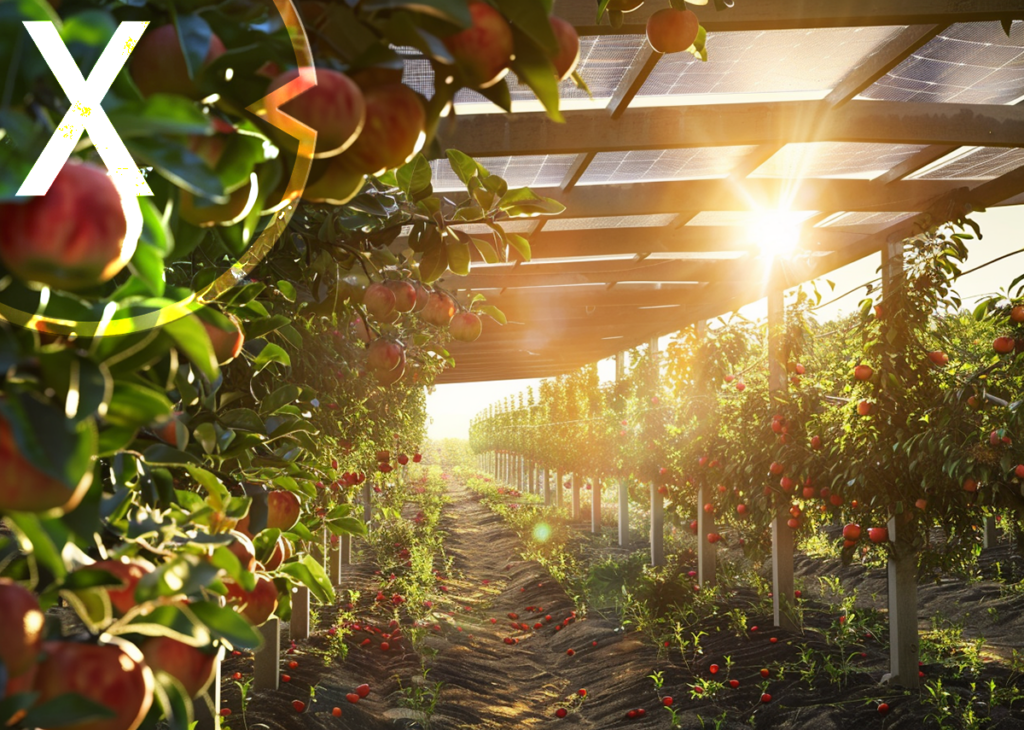 Efektywność ekonomiczna spotyka się z ekologią: Agri-PV jako przyszły model dla odpornych gospodarstw