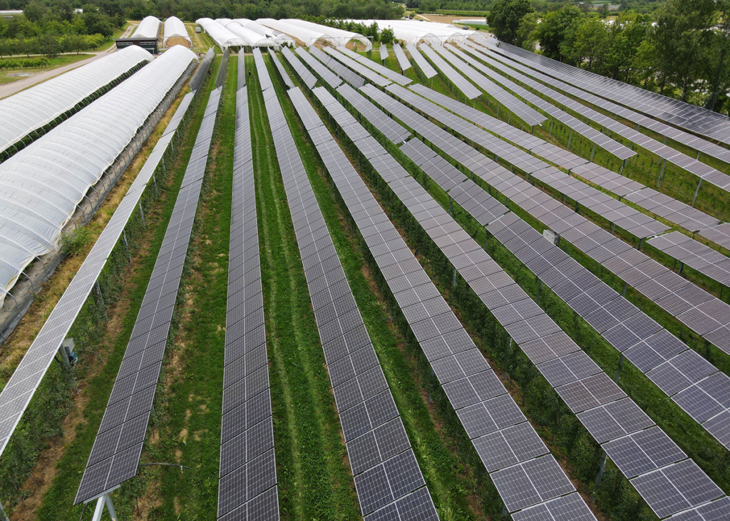 農業太陽光発電モデル地域バーデン・ヴュルテンベルク州 - オーバーキルヒ・ヌスバッハの研究施設の一部は、完全にシェードされたモジュールで動作します