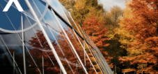 Bio-fotovoltaika: Výzkumníci vyvíjejí solární panely založené na fotosyntéze, které také produkují kyslík