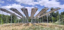Solar powered microclimate: PV system creates forest lighting conditions for saplings