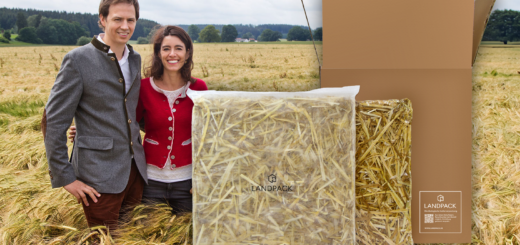 Innovative shipping ideas: Sustainable packaging solutions made from straw for e-commerce and shipping instead of Styrofoam