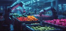 Challenges and possible solutions in refrigerated logistics in Italy - Robotics in refrigerated logistics