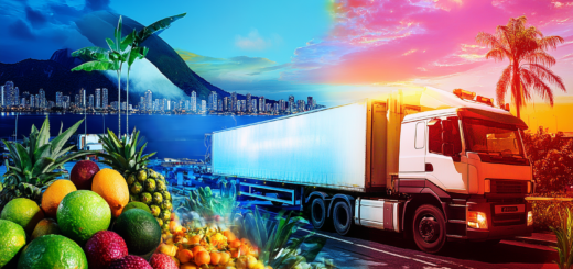 Refrigerated logistics in Brazil: Challenges and opportunities in cold logistics and fresh produce logistics in a global comparison